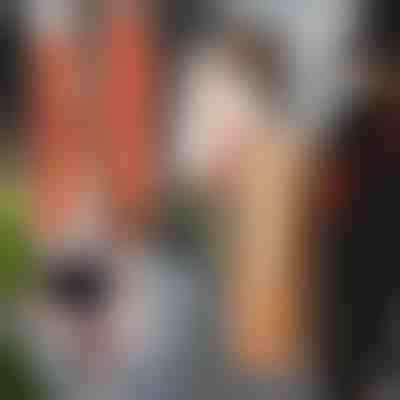 Curele de transport  (2 buc.) | DUOLIFTERS