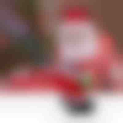 Moș Crăciun dansator | DANCECLAUS