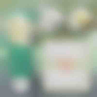 Soluție instantanee pentru repararea pereților | WALLFIX