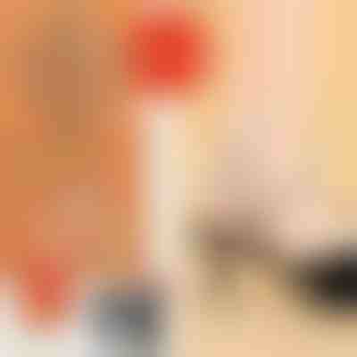 Curele elegante pentru pantofi cu toc (4Pcs) | LUXSTRAP