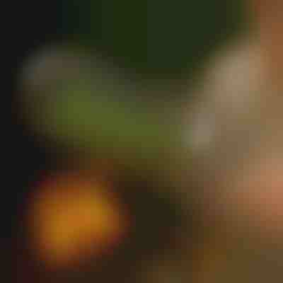 Coș rotativ pentru grătar | ROLOGRILL