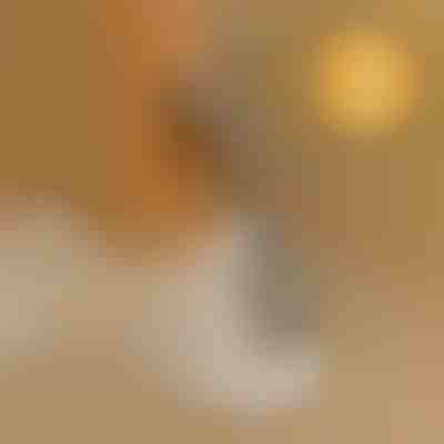 Accesoriu practic pentru încălțat fără efort și fără a te apleca | SHOEVA